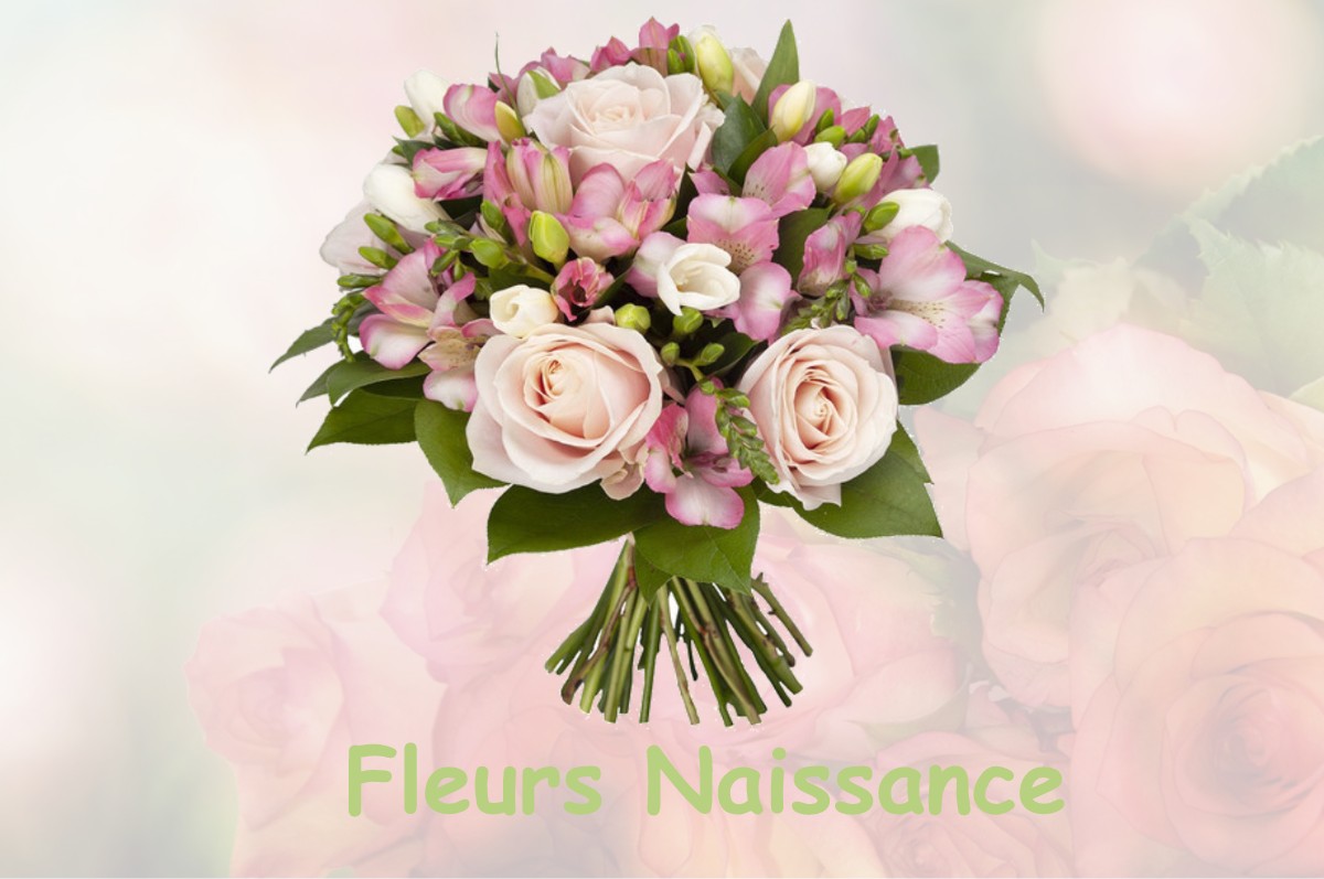 fleurs naissance MAISONNAIS