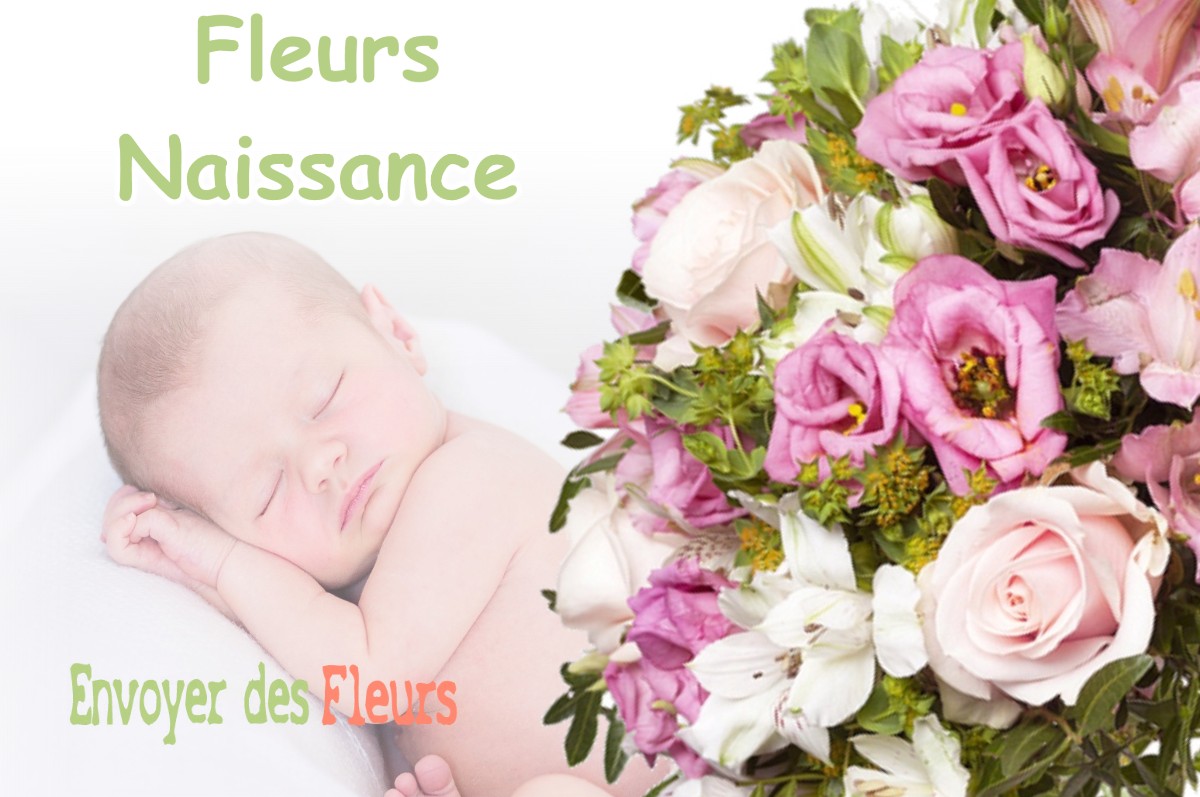 lIVRAISON FLEURS NAISSANCE à MAISONNAIS